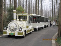 城市的另一道亮丽风景线之无轨小火车